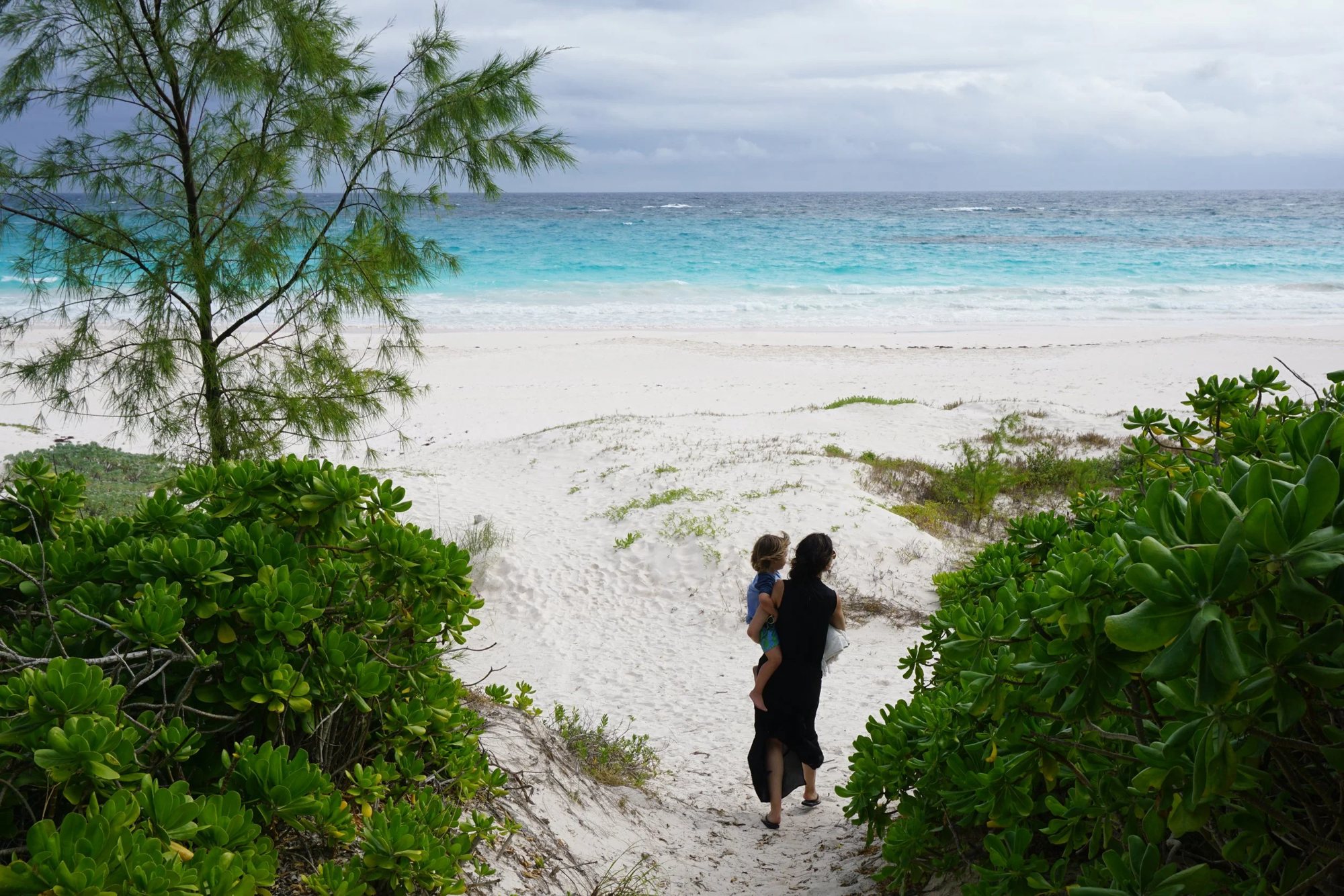 At Ease Bahamas path to Pink Sand Beach, Harbour Island